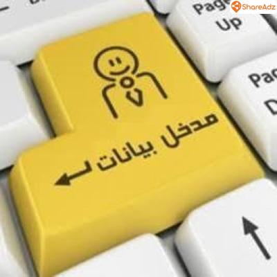 مطلوب مدخل بيانات