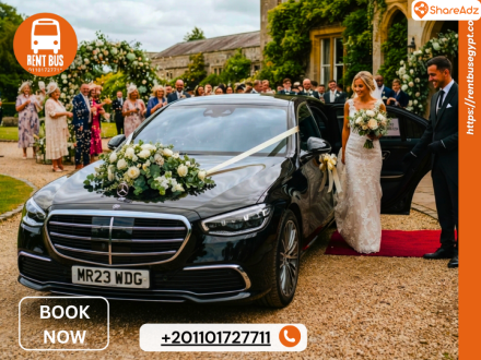 Mercedes Chauffeur Service Egypt | Mercedes S500 VIP Rental with Professional Driver